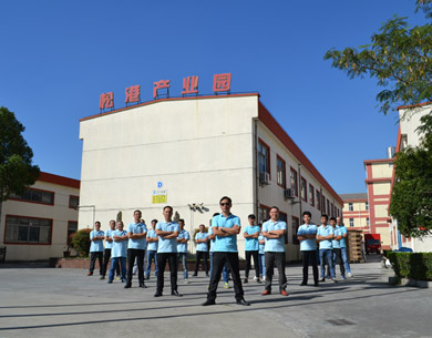 小蝌蚪视频黄APP机电业务团队