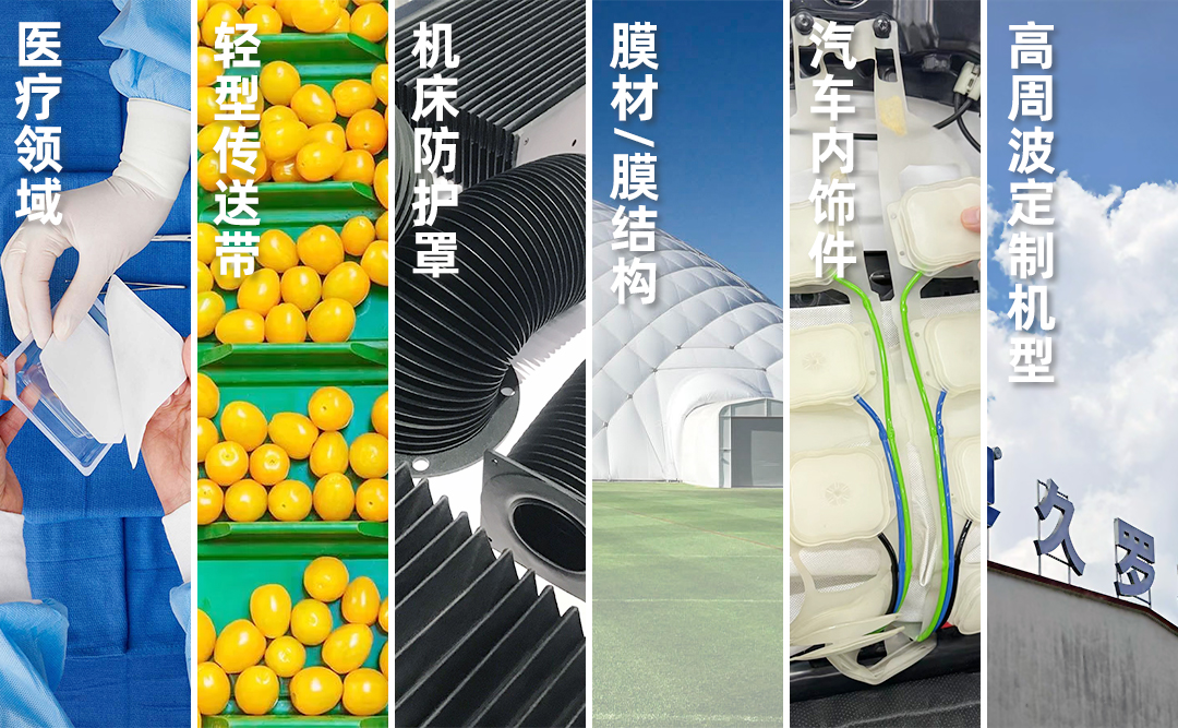 小蝌蚪视频黄APP产品领域